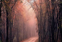 OPTA列本赛季欧协联夺冠概率:切尔西大幅领跑,贝蒂斯第三.