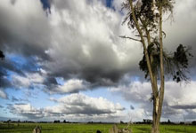 星空体育平台:未来回拜仁任职?拉姆:拭目以待吧,职务和时机都要合适.