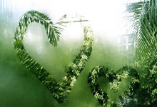 中超 | 塞蒂恩:塞尔吉尼奥能力出众 但他还需要时间.